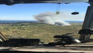 Seferihisar'da otluk alanda yangın çıktı