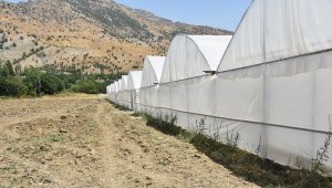 Şırnaklı genç memleketinde devlet desteğiyle sera kurdu