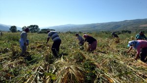 "Süpürgeci köyde" baba mesleğine ilgi azalıyor