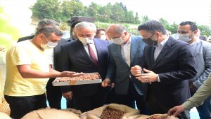 Tarım ve Orman Bakanı Pakdemirli, TMO'nun fındık alım törenine katıldı: