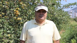 Tarımda kimyasal ilaçların kullanımını azaltmak için "5D formülünü" geliştirdi