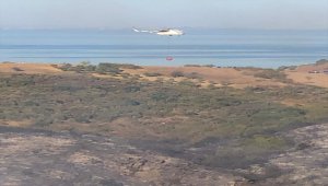 Tekirdağ'da orman yangını söndürüldü 