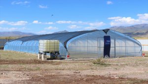 TİKA'dan Moğolistan'da seracılığa destek