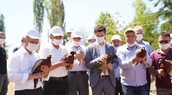 Tokat'ta "kene avcısı" bin keklik ve sülün doğaya salındı
