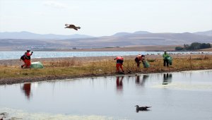 Van Gölü'nde martı ölümleri