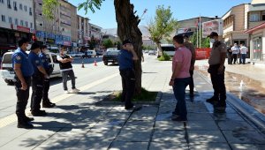 Van, Muş, Bitlis ve Hakkari'de Kovid-19 tedbirleri denetimi