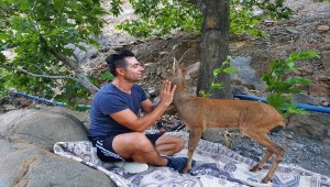 Yürüyüş yaptığı sırada rastladığı karaca ile kurduğu dostluk takdir topladı