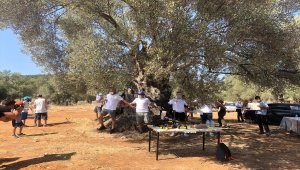 Zeytin ağacından elde edilen gelirle öğrencilere robot tasarımı eğitimi