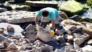 Zonguldak sahilinde tarihi sütun başlığı bulundu