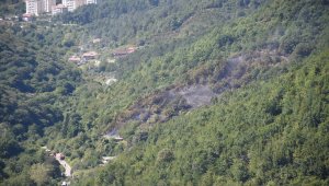 Zonguldak'ta evden ormana sıçrayan yangın söndürüldü