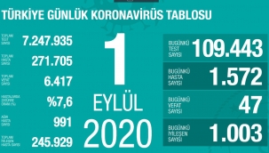 1 Eylül'de Türkiye'de korona virüs salgınından son 24 saatte 47 kişi hayatını kaybetti