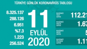 11 Eylül'de Türkiye'de korona virüs salgınından son 24 saatte 56 kişi hayatını kaybetti