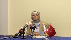 AK Parti Almanya Temsilcisi Göka, Türkiye'nin Doğu Akdeniz konusundaki tutumunu anlattı
