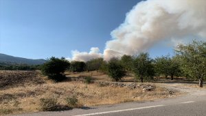 Ankara'nın Çubuk ilçesinde çıkan orman yangınına müdahale ediliyor