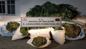 Antalya&#39;da 161 kilogram esrar ele geçirildi