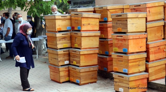 Arı Yetiştiricileri Birliği seçimlerinde oyları arı kovanına attılar