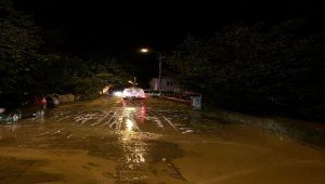 Artvin'de şiddetli yağış etkili oldu