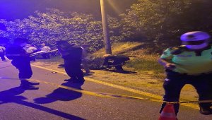 Aydın'da aydınlatma direğine çarpan motosiklet sürücüsü öldü