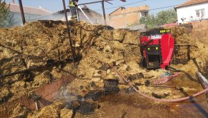 Aydın'da çıkan ev yangınında 1 kişi dumandan etkilendi 