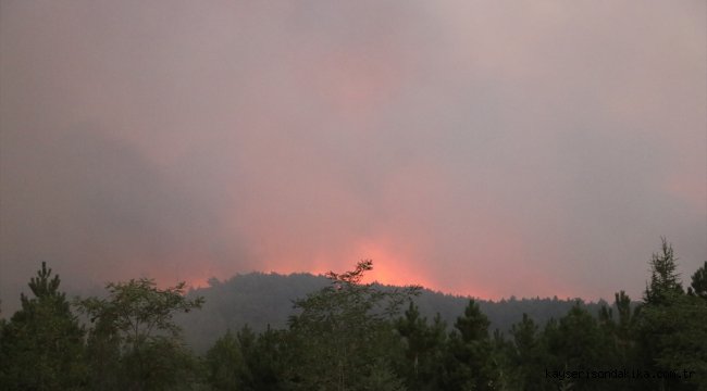 Bakan Pakdemirli, Denizli'deki orman yangınında incelemelerde bulundu:
