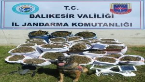Balıkesir'de 318 kilogram esrar ele geçirildi 