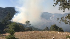 Balıkesir'de orman yangını 