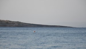 Bodrum'da Büyük Ada'da çıkan yangın söndürüldü