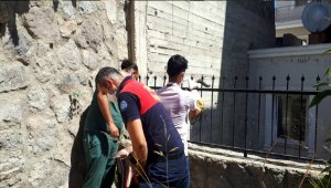 Bodrum'da demir korkuluk saplanan kediyi itfaiye kurtardı