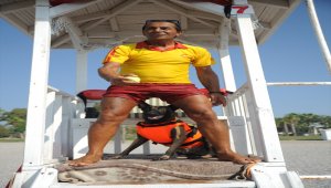 Cankurtaran köpeği "Fox" Konyaaltı sahilinde göreve başladı
