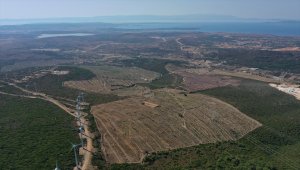 Çeşme'de "badem" zamanı 