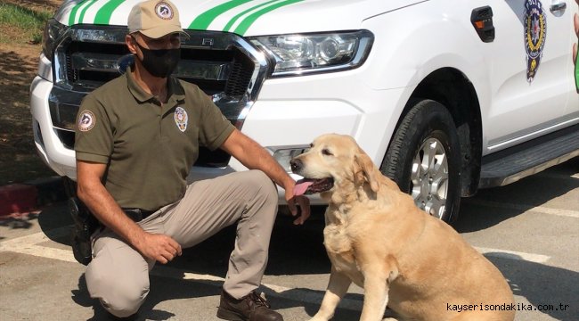 "Çevre, Doğa ve Hayvanları Koruma" polisleri Adana'da göreve başladı