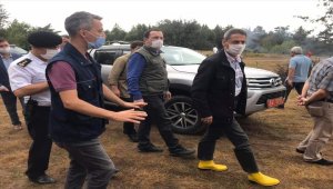 Çorum ve Sinop arasındaki ormanlık alanda çıkan yangın yavaşladı 