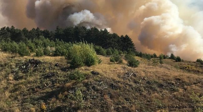 Çorum ve Sinop arasındaki ormanlık alanda çıkan yangına müdahale ediliyor 