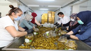 Çubuk'tan 81 ilde 81 okulla "ilk teneffüs" turşusu