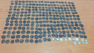 Denizli'de 264 sikke ele geçirildi