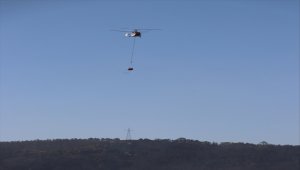 Denizli'deki orman yangınında soğutma çalışmaları sürüyor
