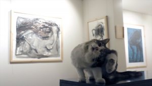 Deve kuşundan "Yansıma"lar Kelimat Sanat Evi'nde sanatseverleri bekliyor
