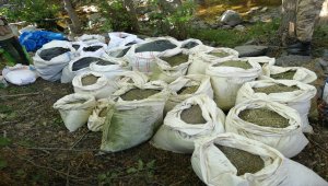 Diyarbakır'da 1 ton 756 kilogram esrar ve 90 bin kök Hint keneviri ele geçirildi