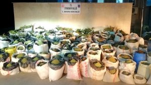 Diyarbakır'da 5 ton 81 kilogram esrar, 14 milyon 169 bin 150 kök kenevir ele geçirildi