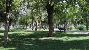 Diyarbakır'da "yeşil kuşak" sevinci 