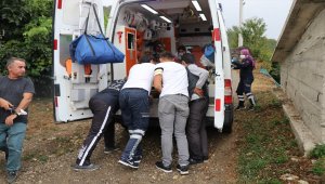 Düzce'de traktör devrildi 13 fındık işçisi yaralandı