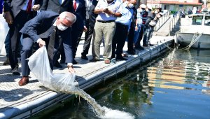 Eğirdir Gölü'ne 562 bin sazan yavrusu bırakıldı