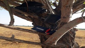 Elazığ'da bıldırcın sesi çıkaran cihazla avlanan 2 kişi yakalandı 