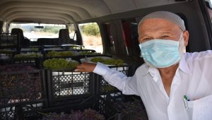 "Elmacı Dede"nin Mehmetçik sevgisi hem gururlandırıyor hem de duygulandırıyor 