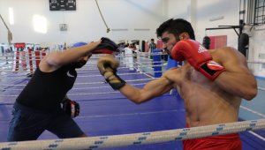 Erkek Milli Boks Takımı'nın Kastamonu'daki kampı sürüyor