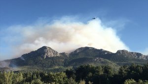 GÜNCELLEME 3 - Adana'da orman yangını