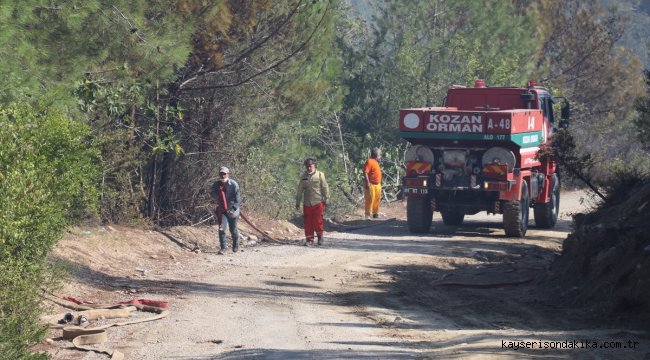 GÜNCELLEME - Adana'daki orman yangını kontrol altına alındı