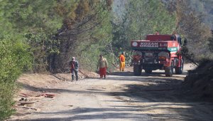 GÜNCELLEME - Adana'daki orman yangını kontrol altına alındı