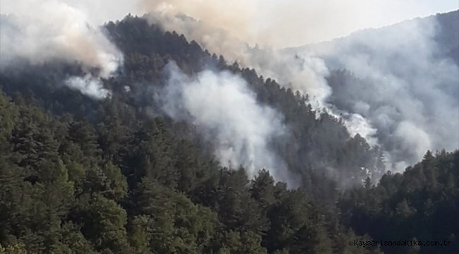 GÜNCELLEME - Balıkesir'de orman yangını