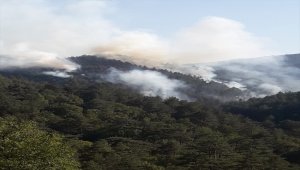 GÜNCELLEME - Balıkesir'de orman yangını